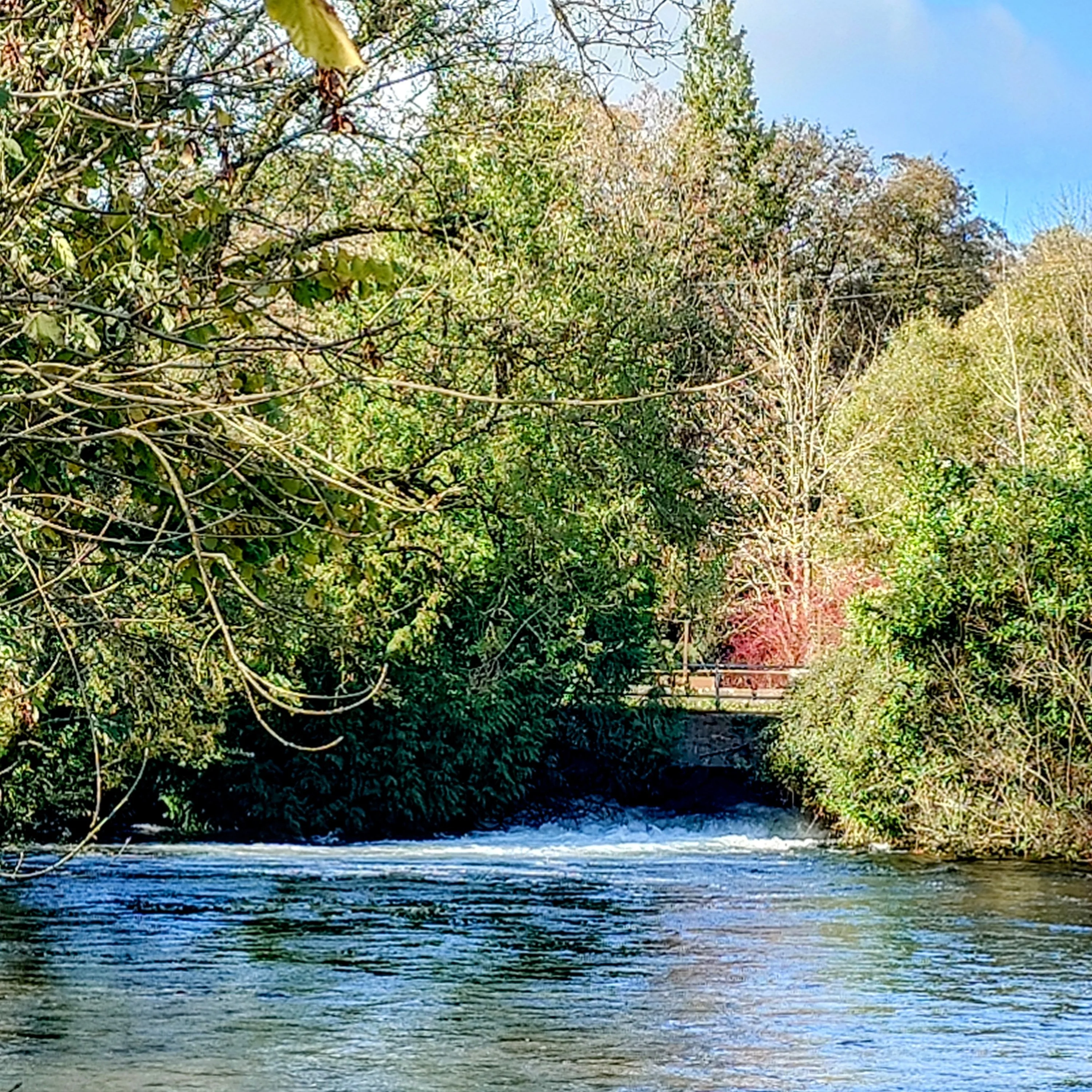 Kimbridge 'Ginger Beer' Beat Booking - Grayling Period - Image 4