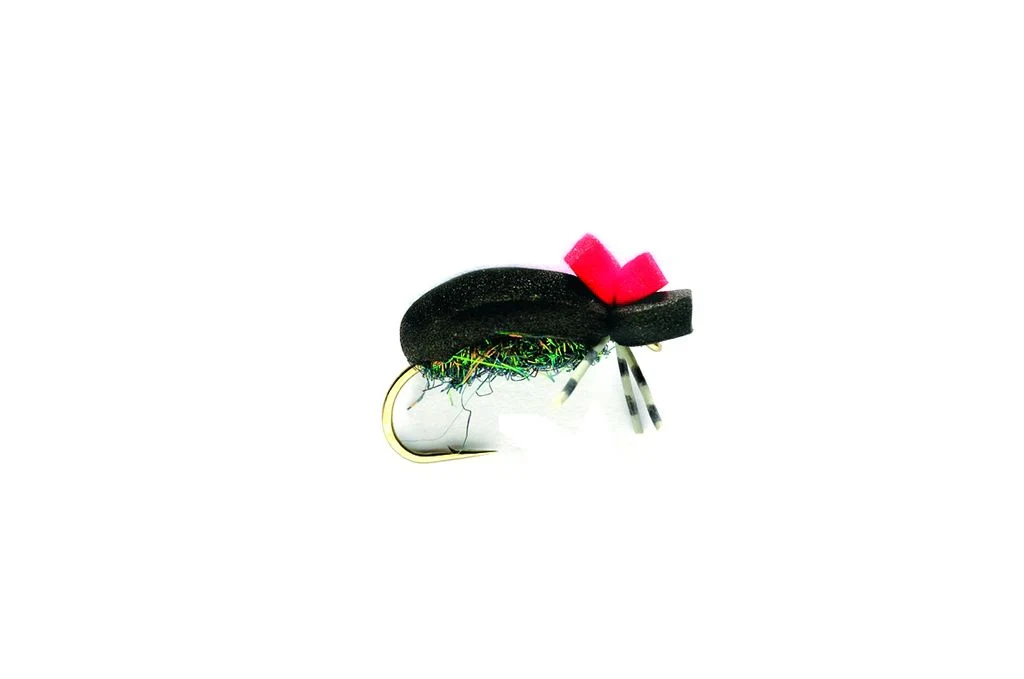 Beetle Hi-Vis Black Foam
