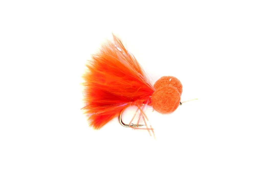 Booby Orange Straggle