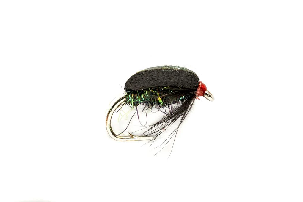 Coch Y Bonddu Beetle