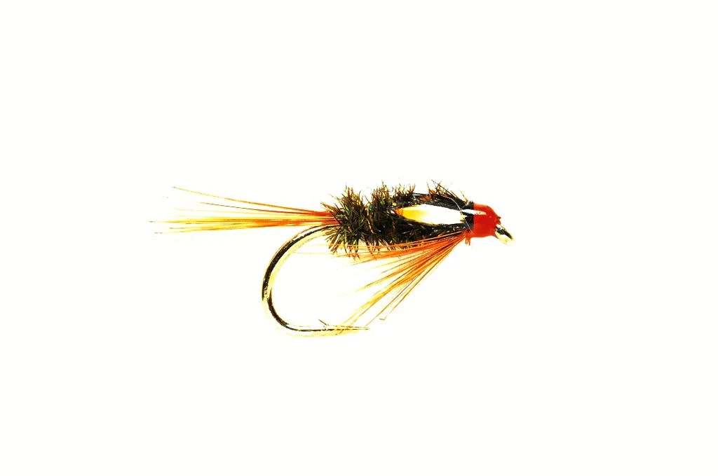 Diawl Bach Hot Head (Special)