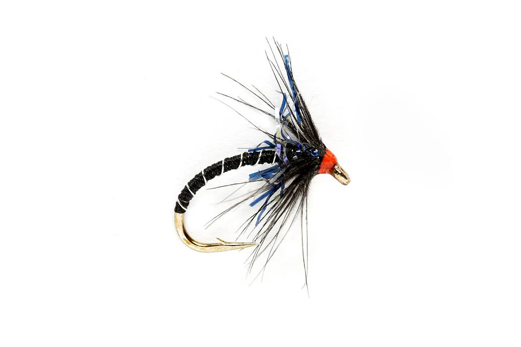 Jenkins' Black & UV Spider - Image 2