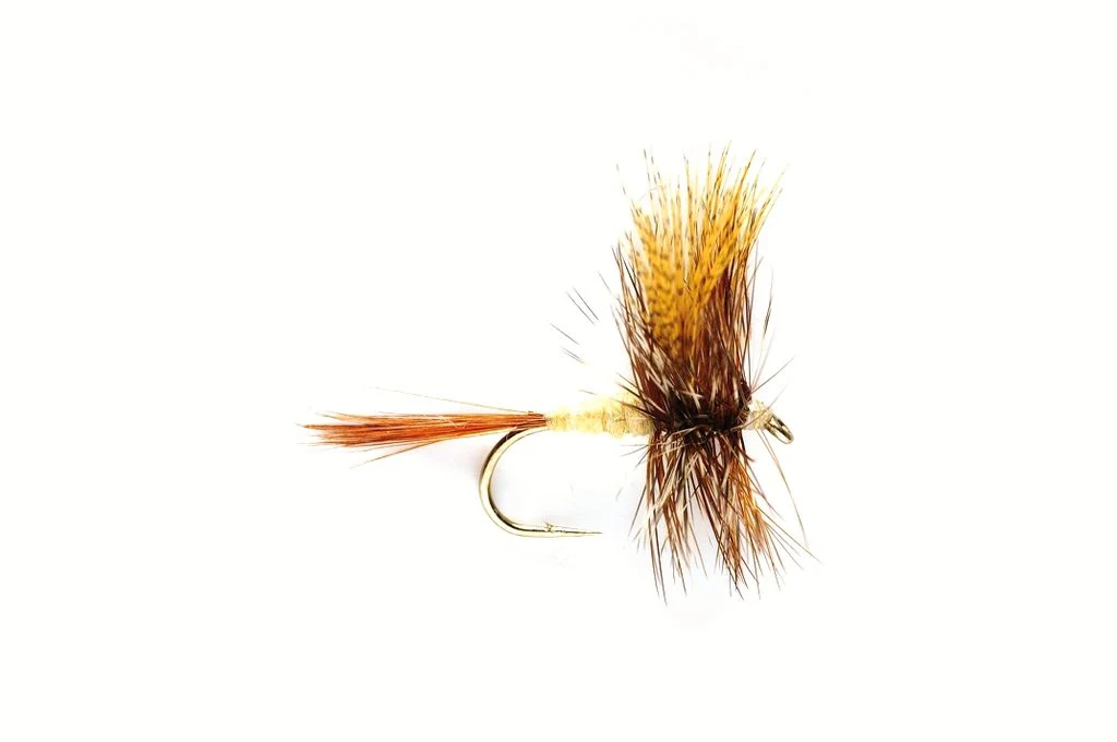 March Brown