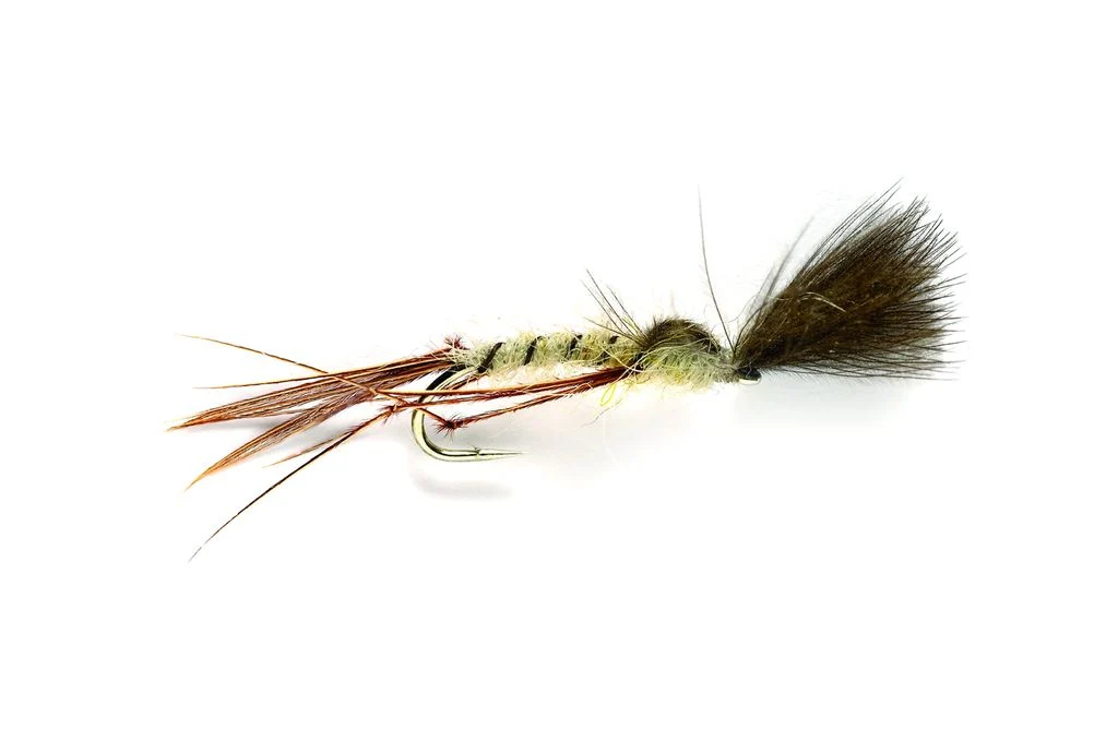 Mayfly Crippled