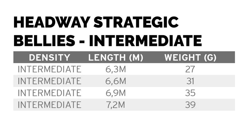 Scientific Anglers Headway Strategic Intermediate - Image 5
