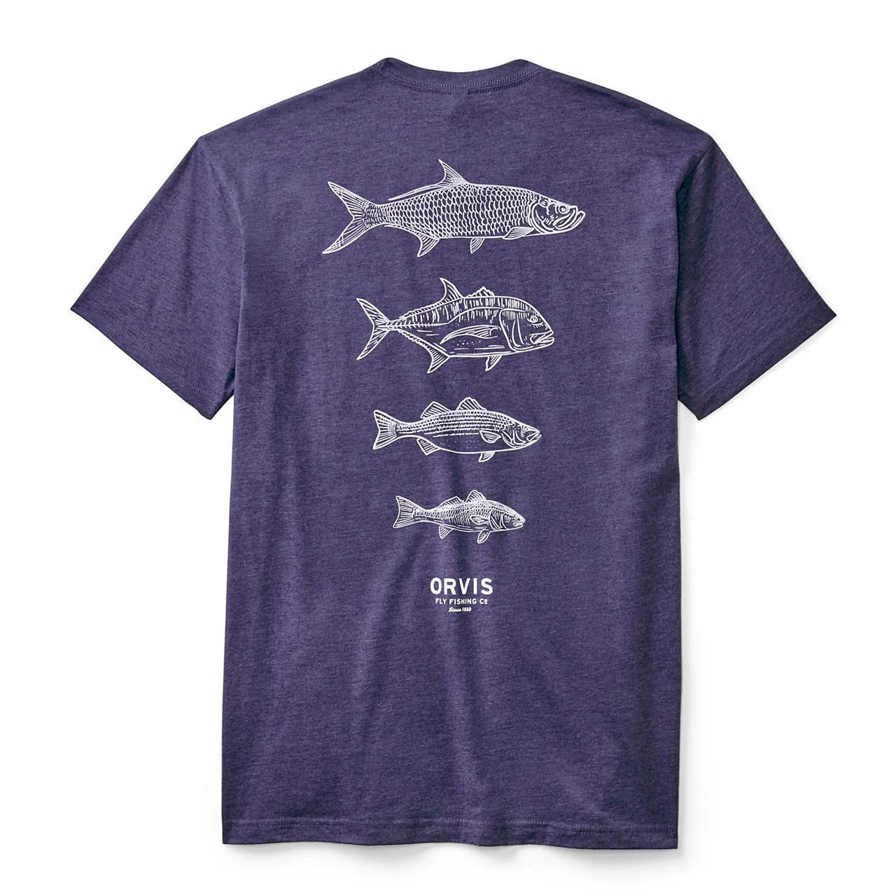 Saltwater Fish Graphic T-Shirt