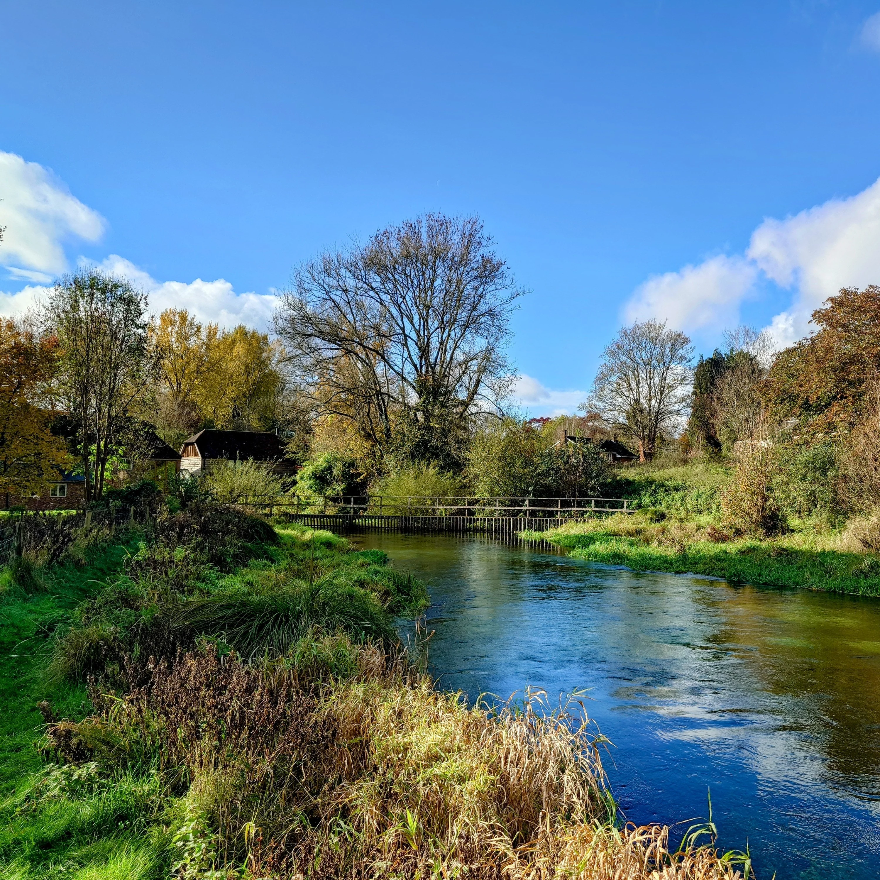 Abbots Worthy Beat Booking - Trout Season - Image 3