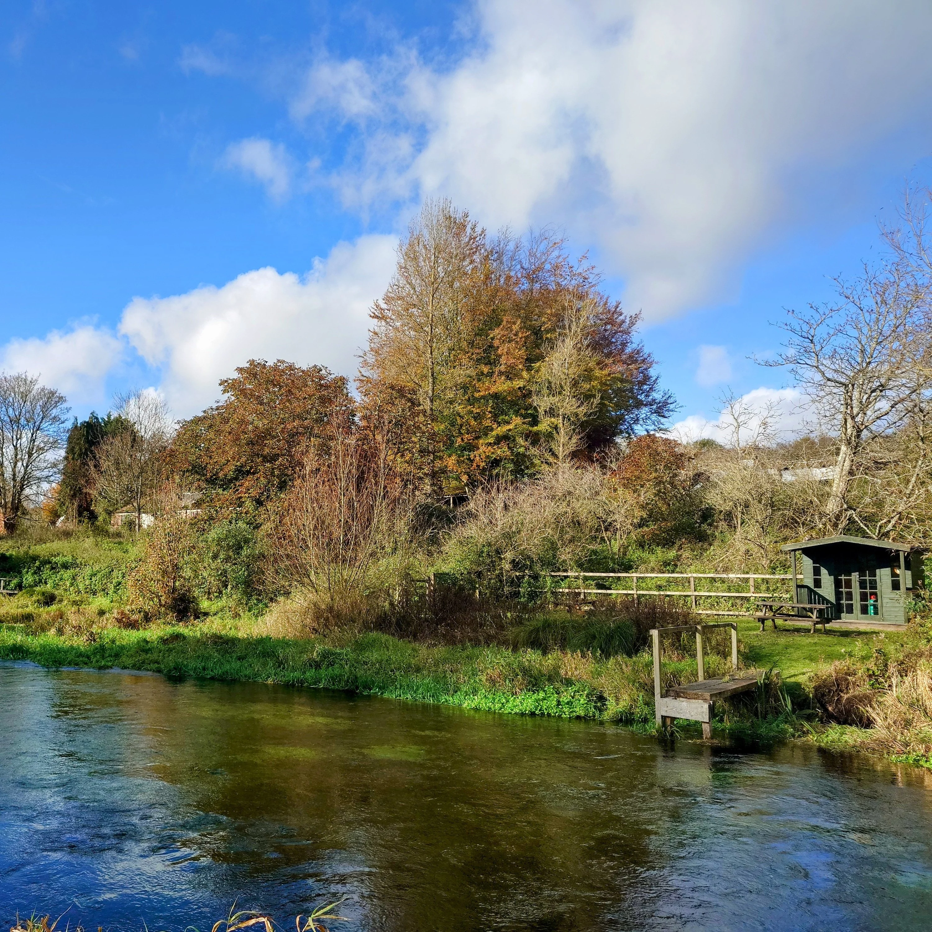 Abbots Worthy Beat Booking - Trout Season - Image 2