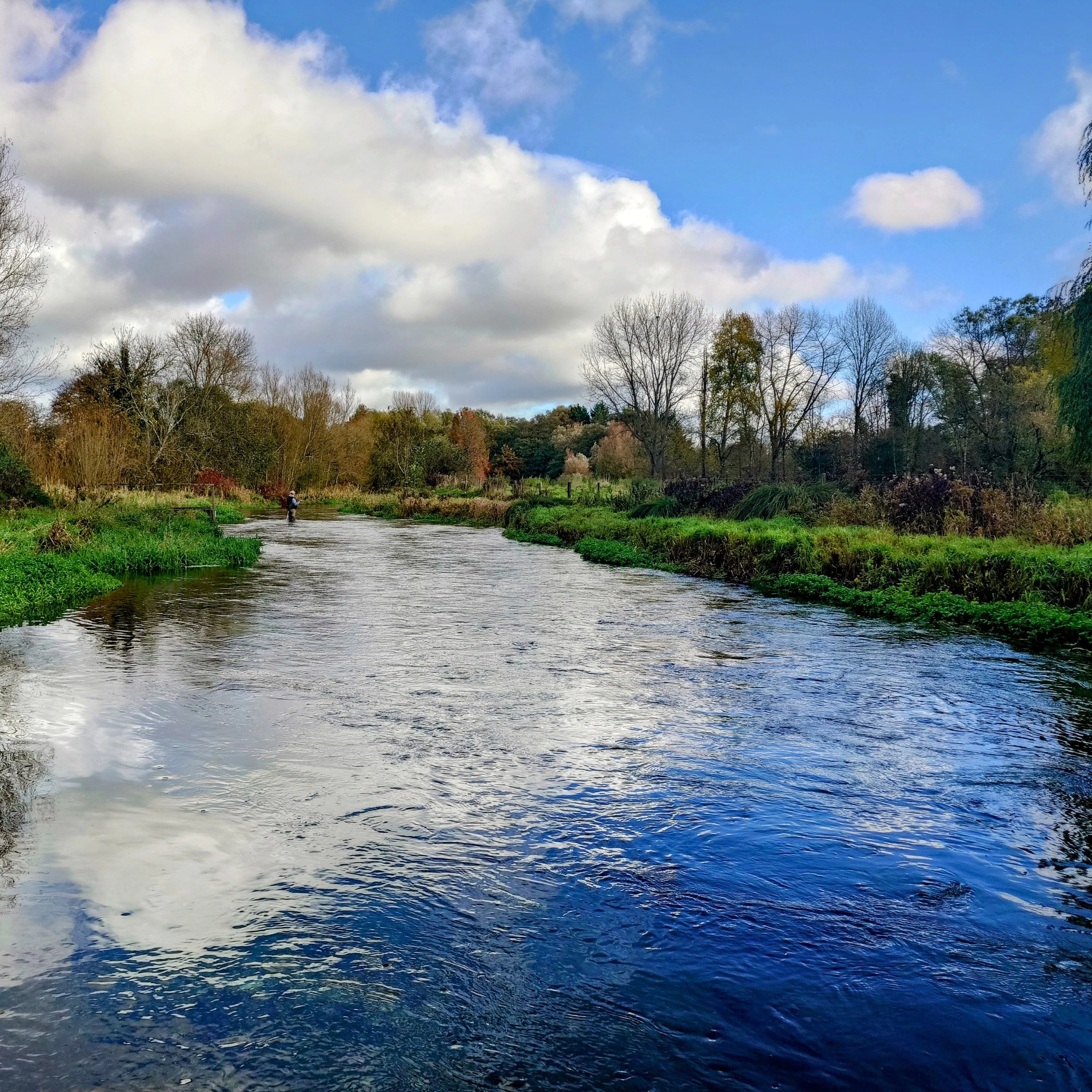Abbots Worthy Beat Booking - Trout Season
