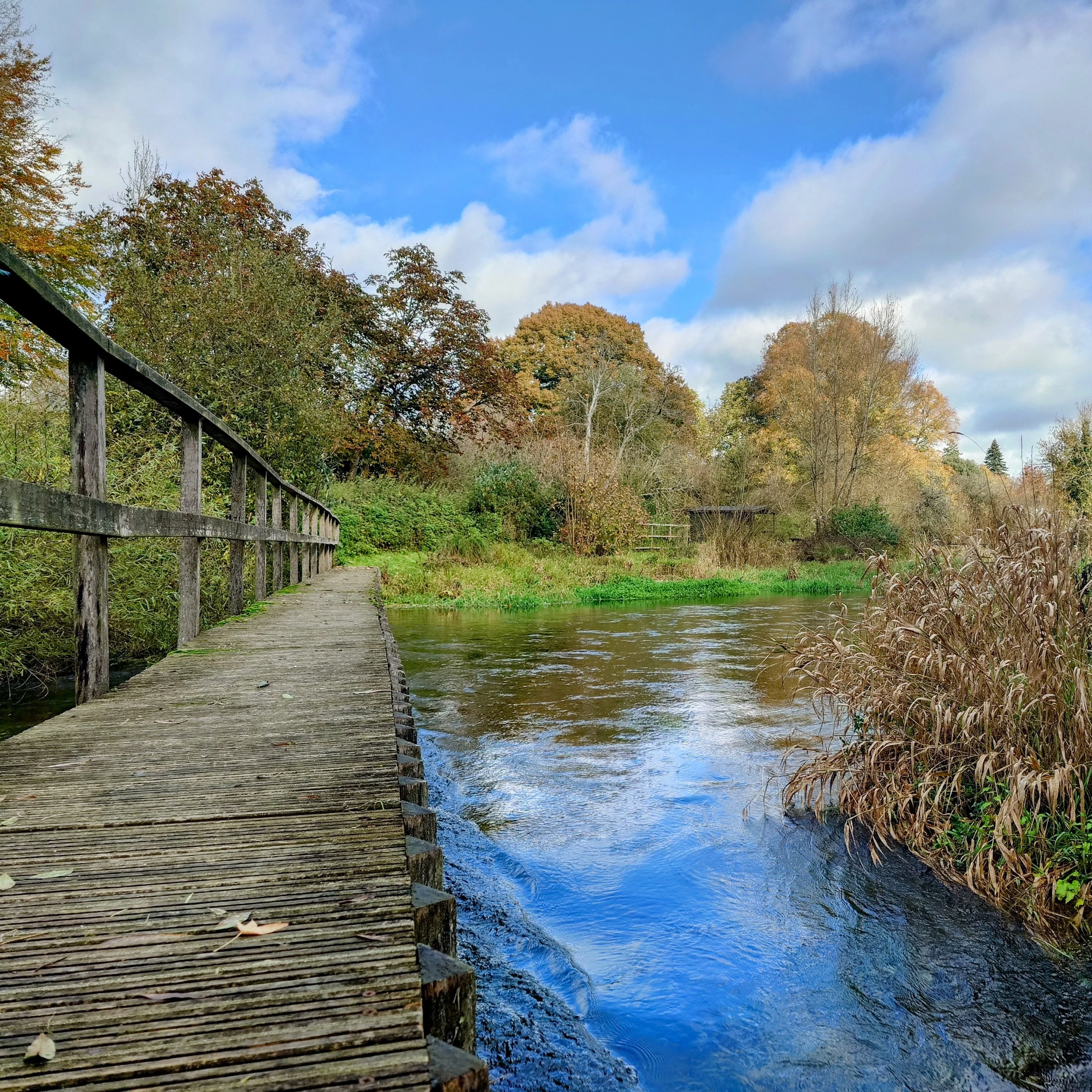 The Catch Series: Chalkstream Mayfly Experience - River Itchen - Hampshire