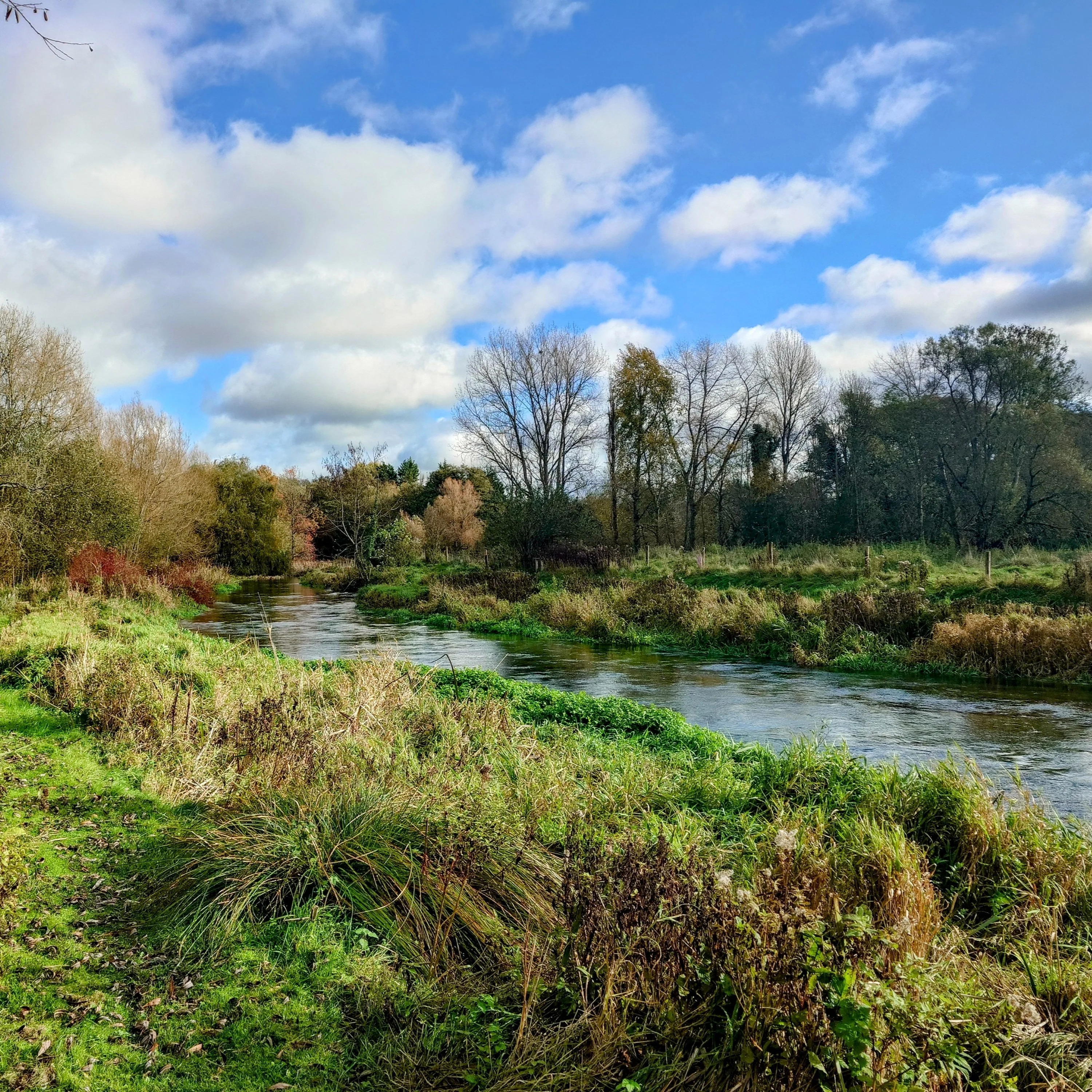The Catch Series: Chalkstream Mayfly Experience - River Itchen - Hampshire - Image 2