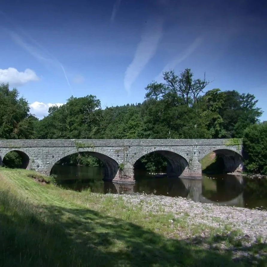 The Catch Series: Wild Brown Trout Experience - South Wales - Image 3